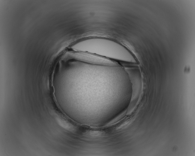 X0000091970205200710041056