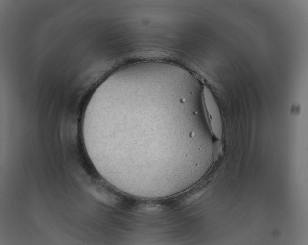 X0000091970206200710041056