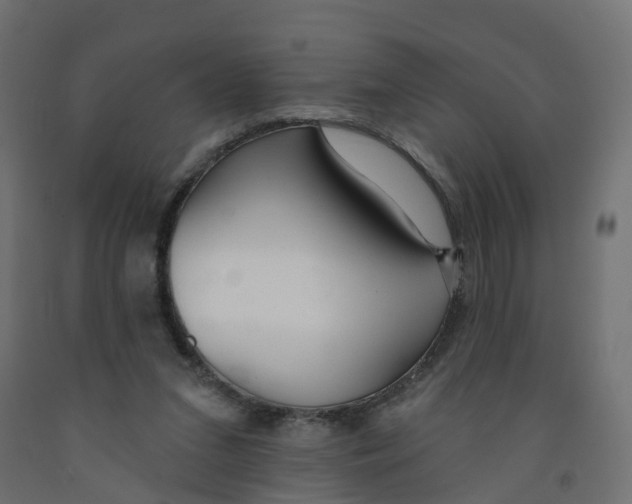 X0000091970207200710041056
