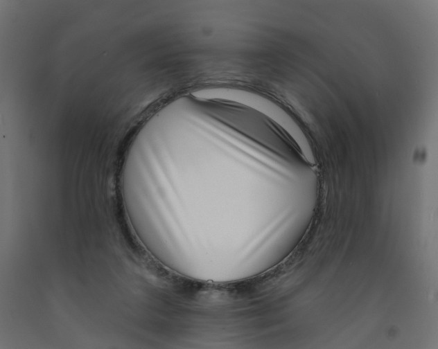 X0000091970211200710041056