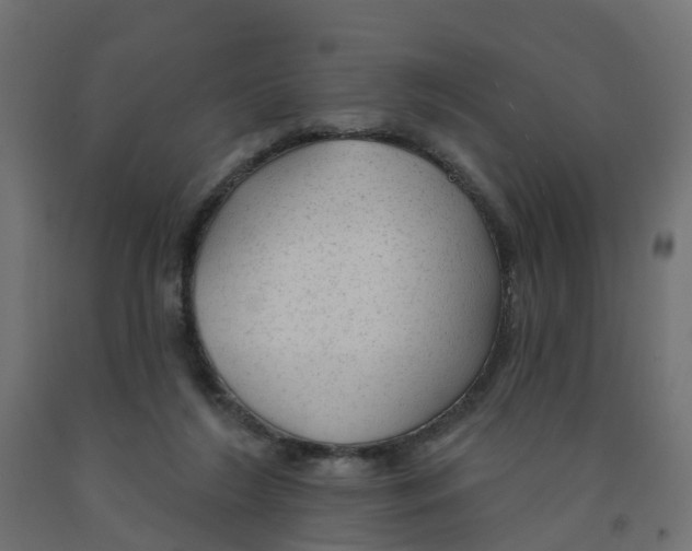 X0000091970212200710041056