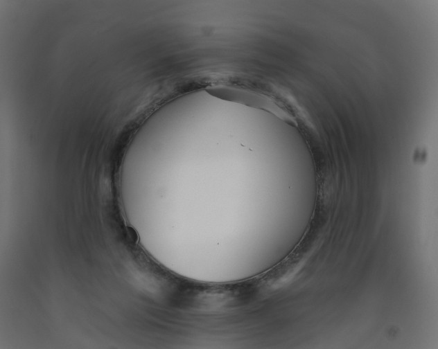 X0000091970213200710041056