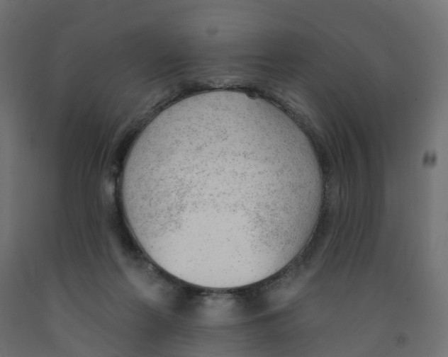 X0000091970214200710041056