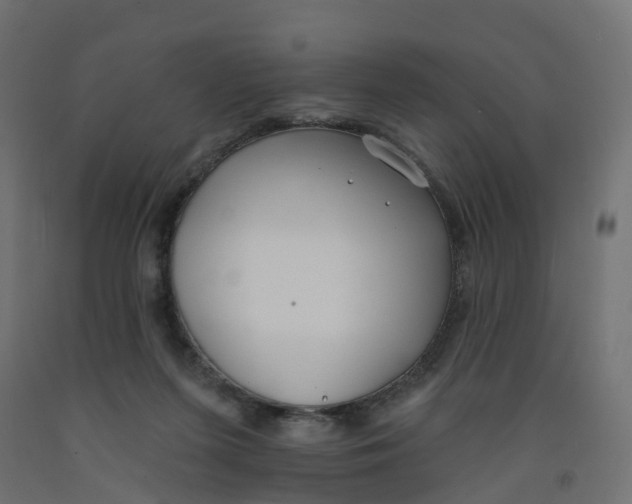 X0000091970215200710041056