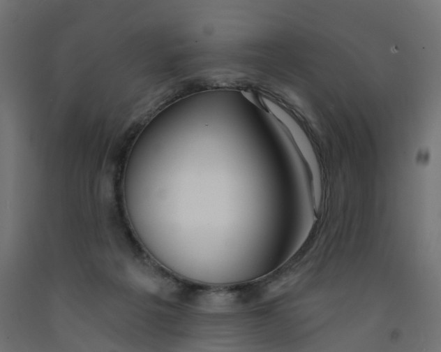 X0000091970217200710041056
