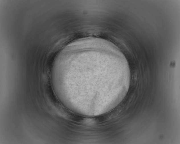 X0000091970218200710041056