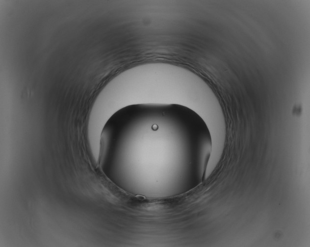 X0000091970219200710041056