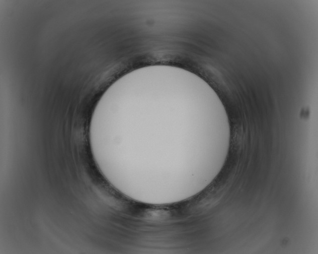 X0000091970220200710041056