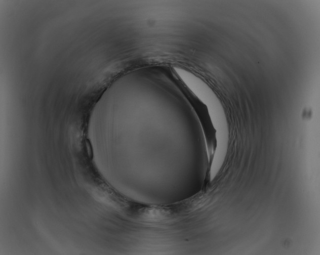 X0000091970223200710041056