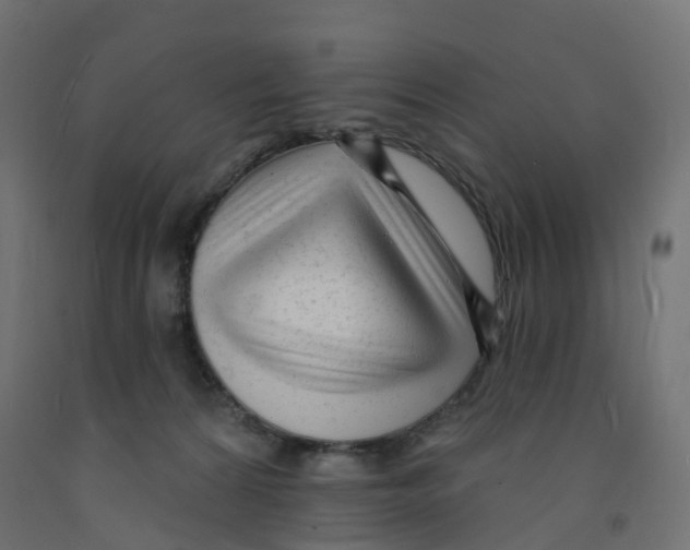 X0000091970224200710041056