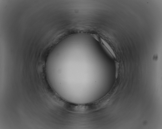 X0000091970225200710041056