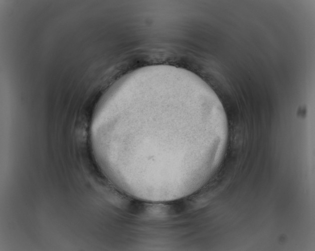 X0000091970226200710041056