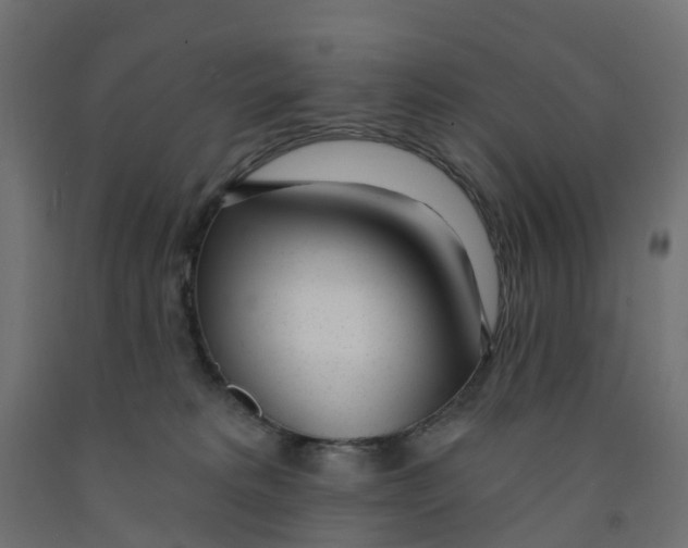 X0000091970229200710041056