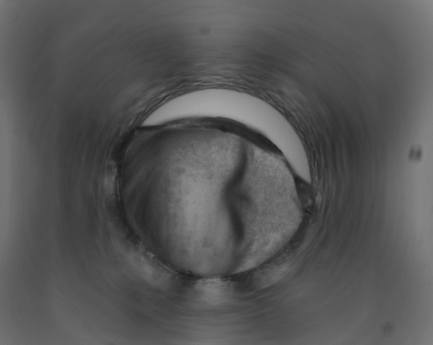 X0000091970231200710041056