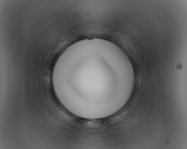 X0000091970232200710041056