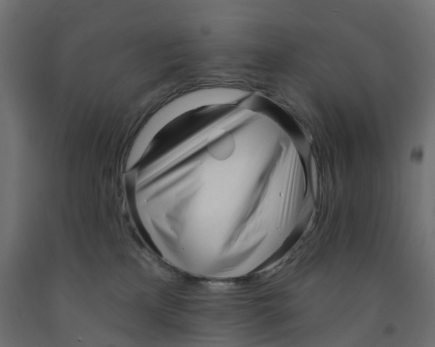 X0000091970233200710041056