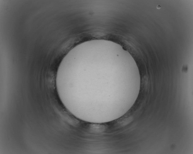 X0000091970234200710041056