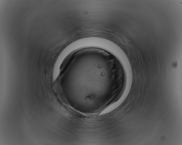 X0000091970235200710041056