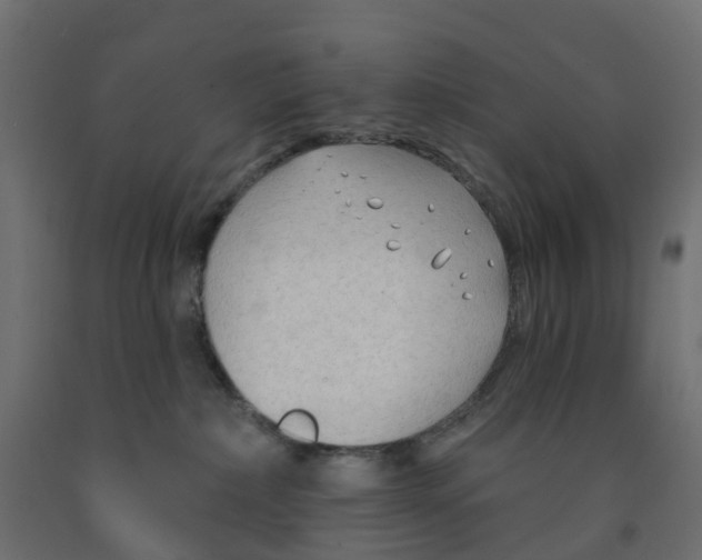 X0000091970236200710041056