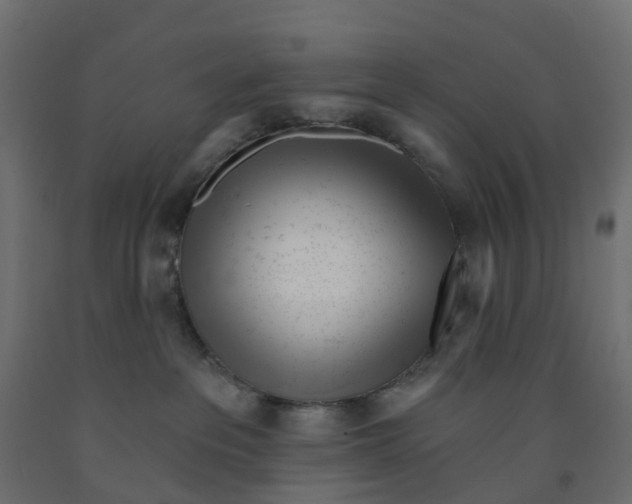 X0000091970237200710041056