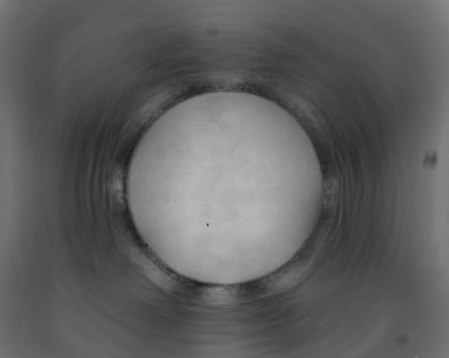 X0000091970238200710041056