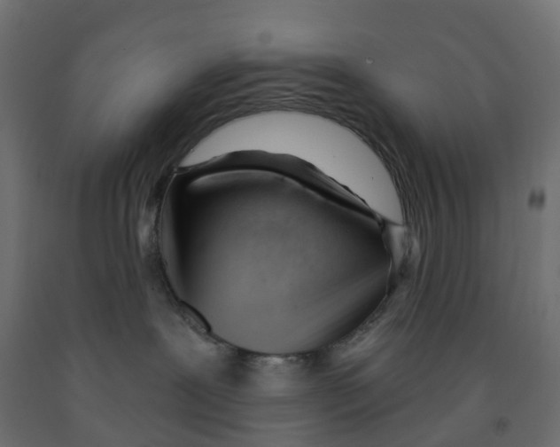 X0000091970239200710041056