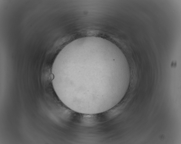 X0000091970240200710041056