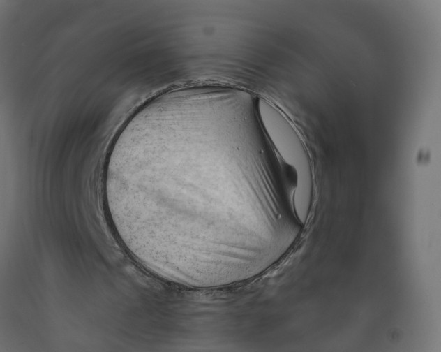 X0000091970241200710041055