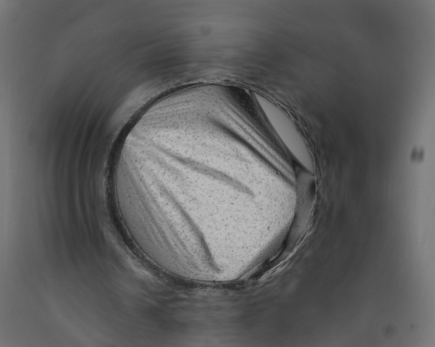 X0000091970242200710041055