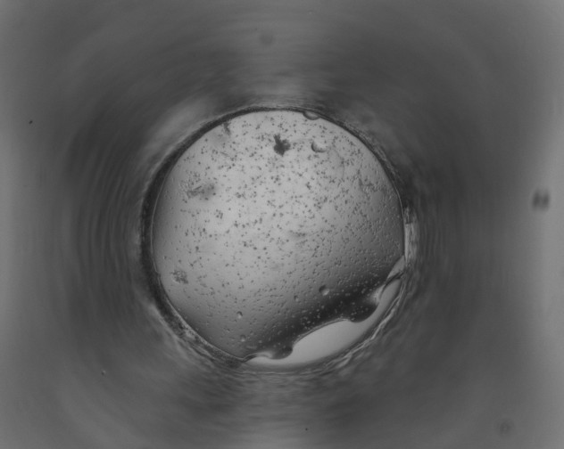 X0000091970243200710041055