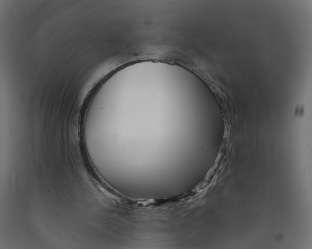 X0000091970244200710041055