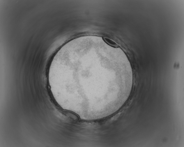 X0000091970245200710041055