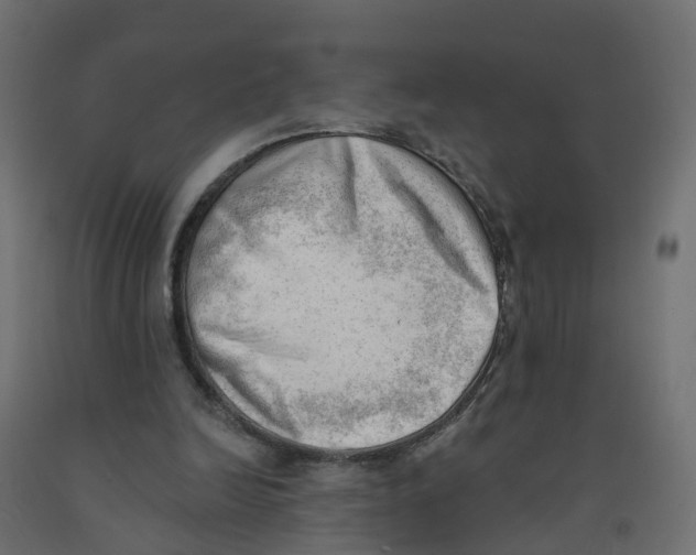 X0000091970246200710041055