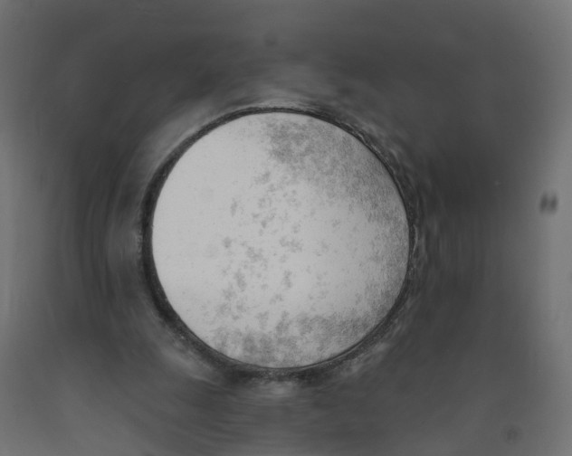 X0000091970247200710041055