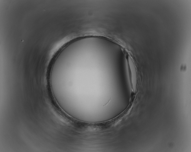 X0000091970248200710041055