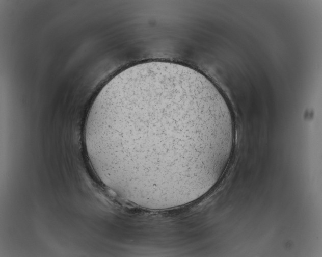 X0000091970249200710041055