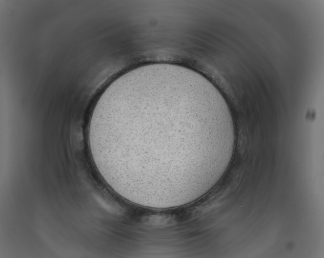 X0000091970251200710041055