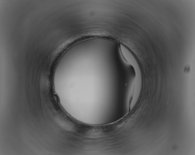 X0000091970252200710041055