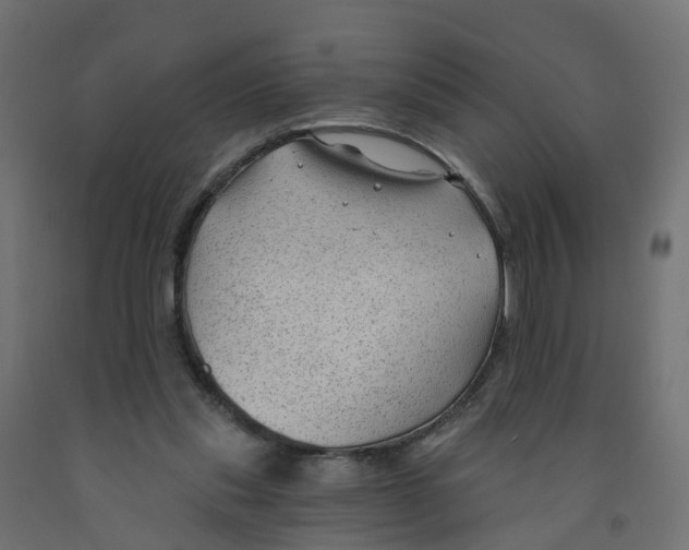 X0000091970253200710041055