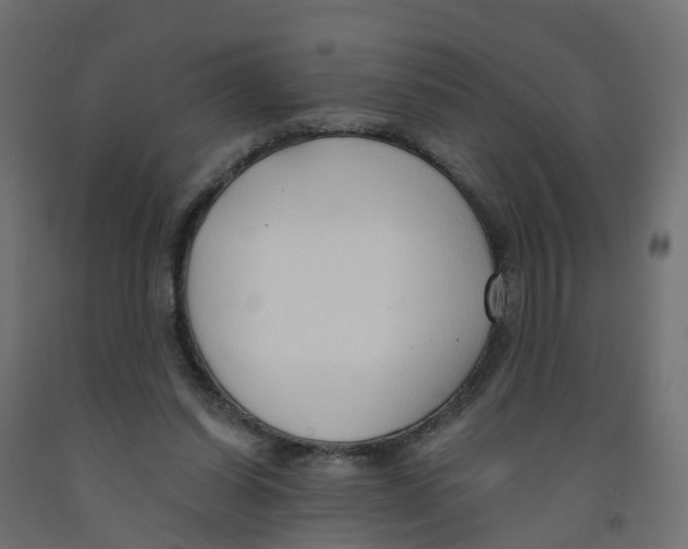 X0000091970254200710041055