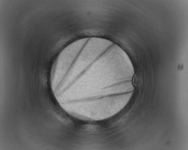 X0000091970255200710041055
