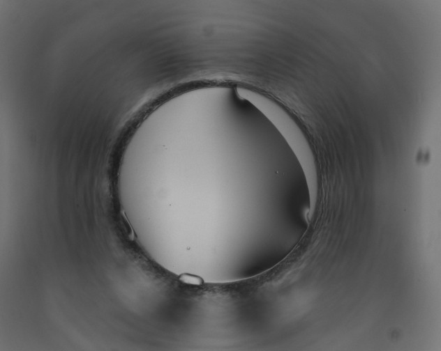 X0000091970256200710041055