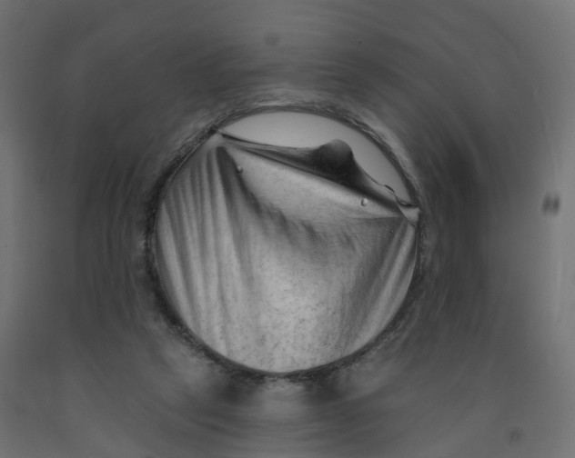 X0000091970257200710041055
