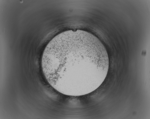 X0000091970258200710041055