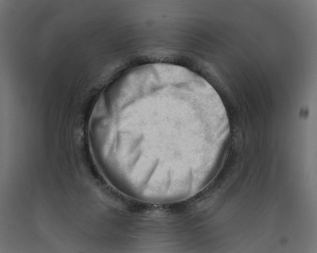 X0000091970259200710041055