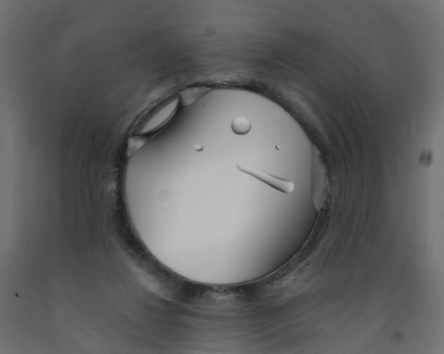 X0000091970260200710041055