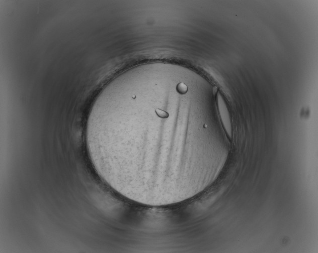 X0000091970261200710041055