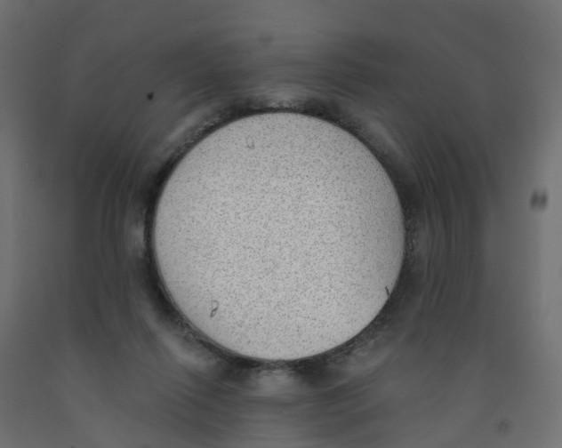 X0000091970262200710041055
