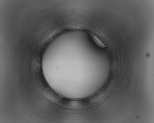 X0000091970264200710041055