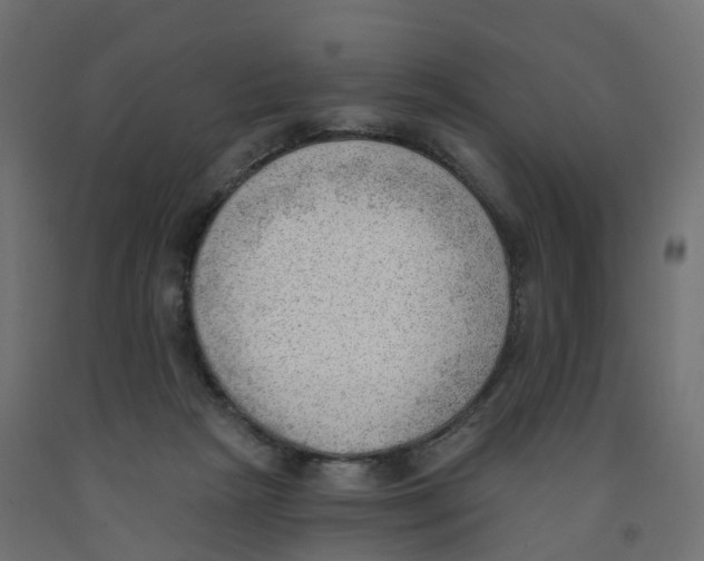 X0000091970265200710041055